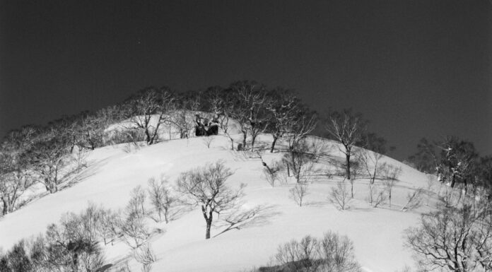 Powadox – Chasing A Bastardized Notion of Freedom in the Hills of Hokkaido
