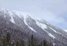 Drones Are About to Change Avalanche Control Forever
