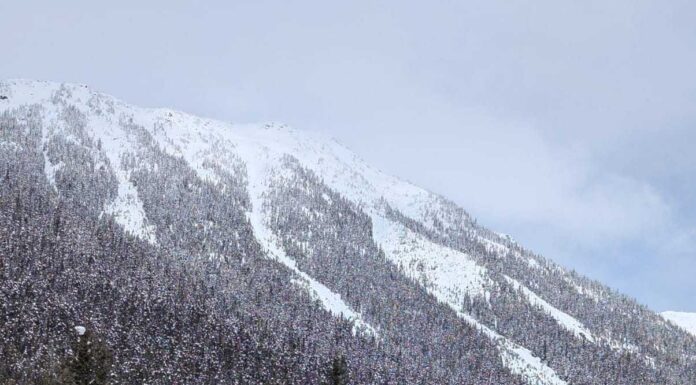 Drones Are About to Change Avalanche Control Forever
