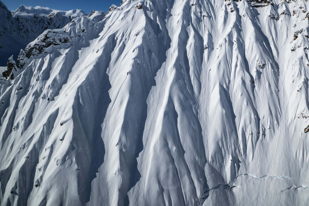 CC_20250323_NaturalSelection-1022