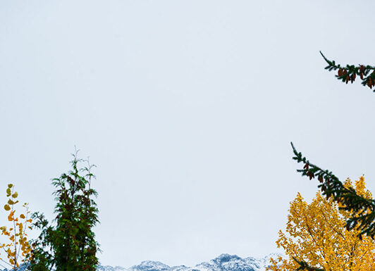 Gear Stash: Get Ready for First Chair 2025/2026