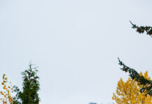 Gear Stash: Get Ready for First Chair 2025/2026