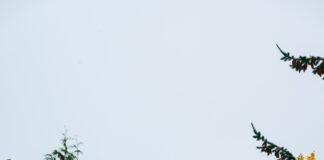 Gear Stash: Get Ready for First Chair 2025/2026